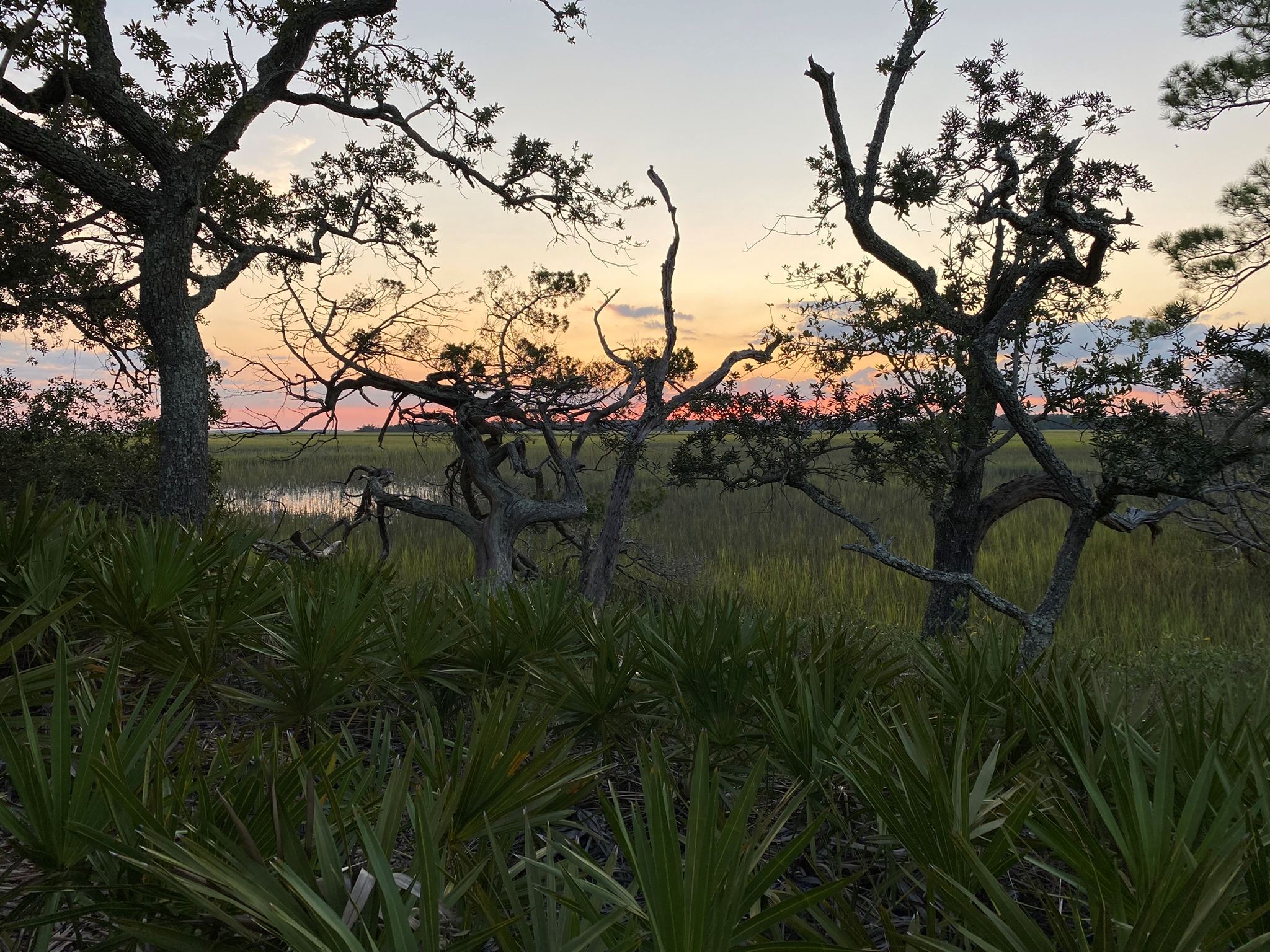 Around the Island 105