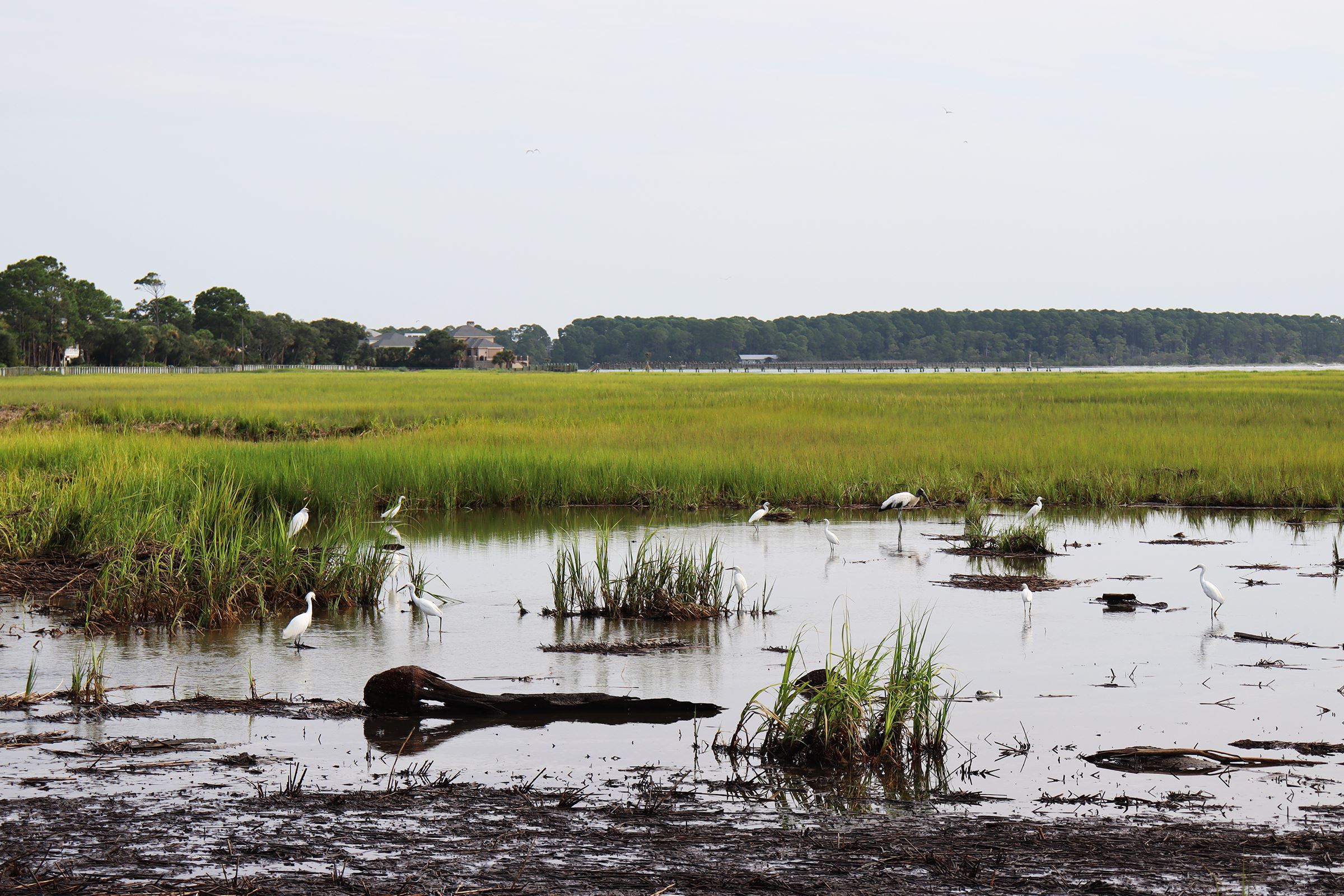 Around the Island 108