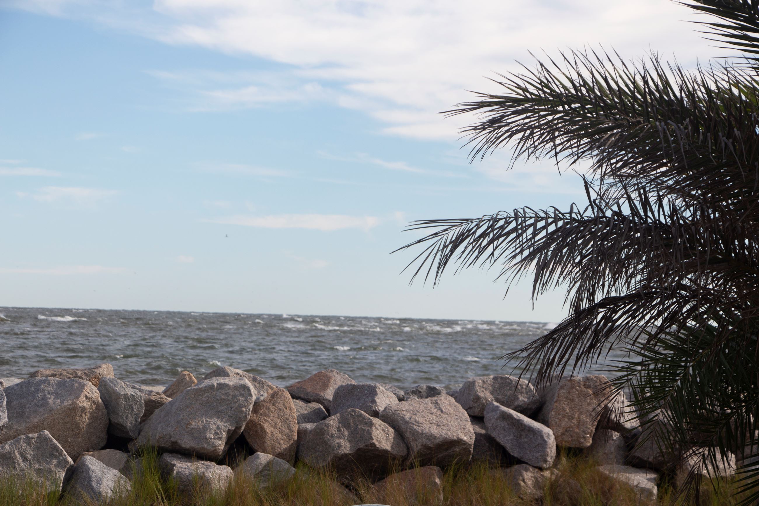 Around the Island 114