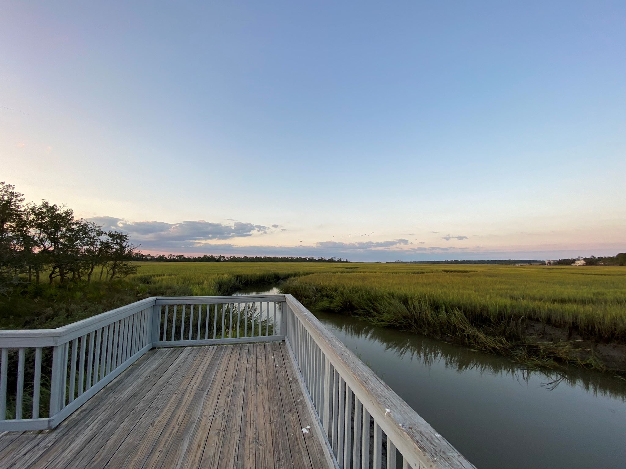 Fiddlers Crabbing Dock